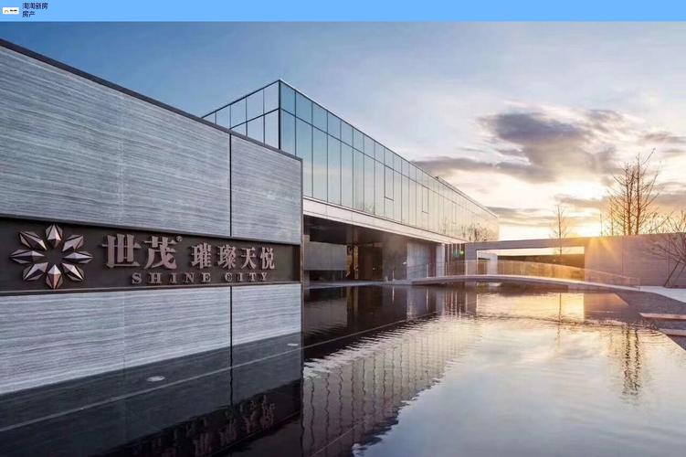 大诚金延府开盘期数及项目最新信息指南